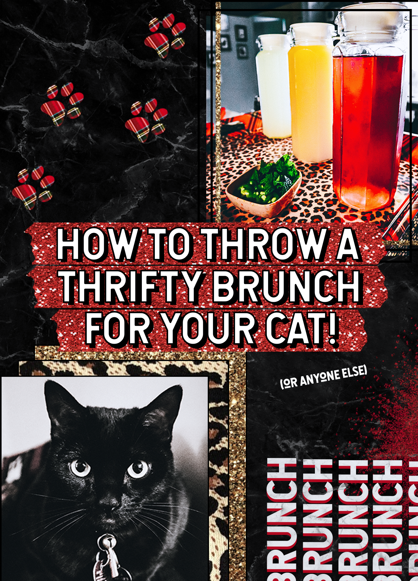 how to throw a thrifty brunch | black cat party