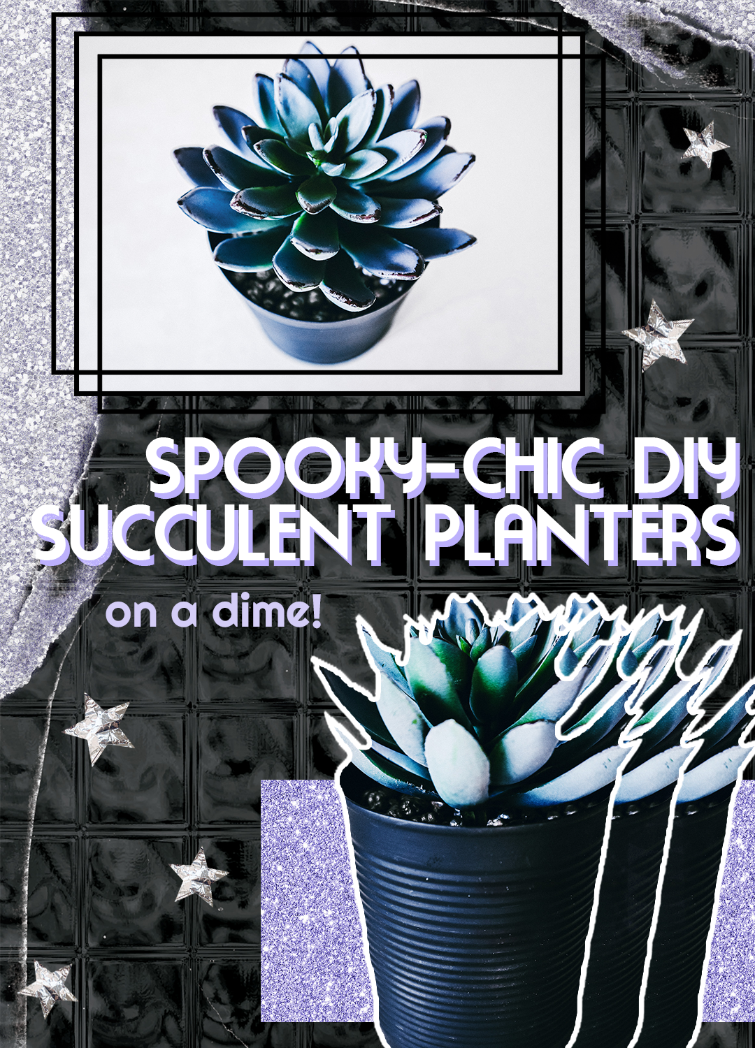 how to make a DIY succulent planter cheap